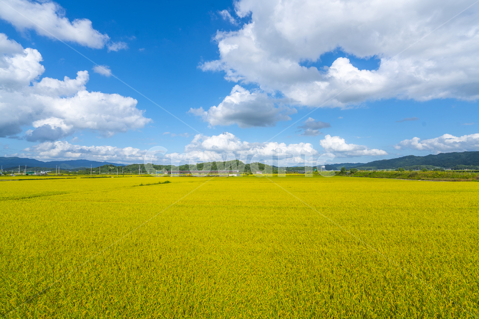 자연,풍경,맑은하늘,감성,푸른하늘,시골풍경,가을풍경,시골,마을,풍경,landscape,country,rural,town