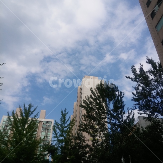 하늘,구름,배경,빛,맑은,산뜻,봄,여름,평화로운,아침