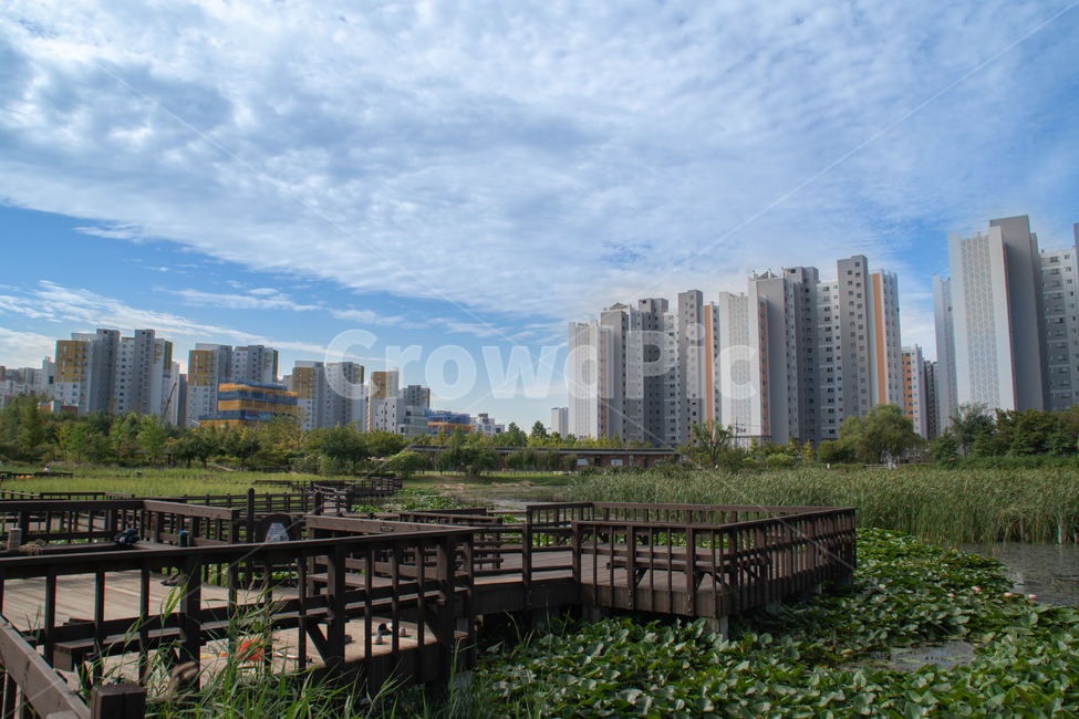 building,건물,town,도시,city,시티,urban,어반,온수역,수목원