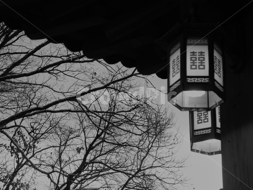 추녀,등,석양,겨울,자연,흑백,모노톤,monochrome,black and white