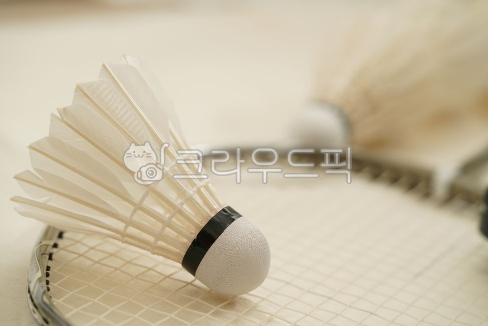 셔틀콕,운동,배드민턴,깃털,스포츠,취미,흰색,도구,badminton
