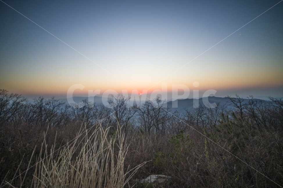 일출,해,아침,풍경,그라데이션,자연,풍경,nature,landscape,한국자연풍경,한국자연경관,korea nature landscape,outdoors,옥외,sky,하늘,dawn,새벽,sunset,일몰,red sky,붉은 하늘,dusk,황혼,plant,식물,grass,잔디