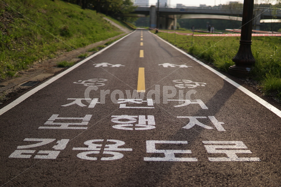 자전거보행자,겸용도로,일직선도로,도로,중앙선