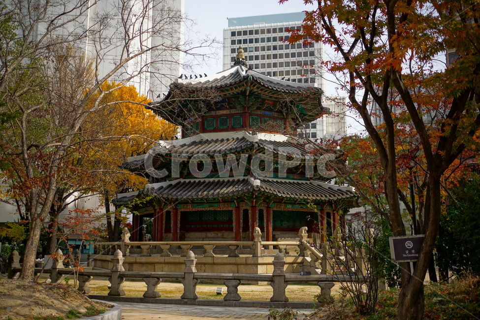 환구단,환단,원구단,문화재,전통,대한제국,조선,문화,전통문화,한국,korea,서울,seoul,한옥,건물,빌딩,building,건축물,건축,culturalassets,culturaltreasure,황궁우,천단,신단,제단,해태,역사,히스토리,history,한국전통,한국문화,korean traditional,korean culture,랜드마크,landmark,tourist attraction,한국랜드마크,한국관광지,한국명소,korea landmark,korea tourist attraction,건축물,건물외관,exterior,building,structure,architecture,construction