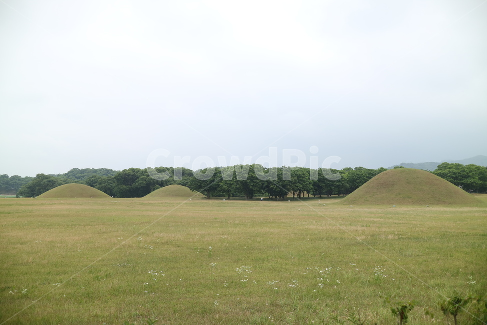 경주,대릉원,경주대릉원,경주세계문화유산,outdoors,옥외,field,들,grassland,목초지,mound