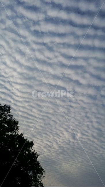 구름,특이한,지진운,자연,하늘,배경,풍경,자연,풍경,nature,landscape,outdoors,옥외,sky,cloud,weather,날씨,cumulus,적운