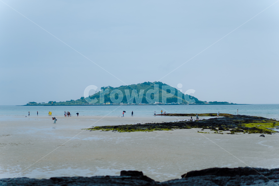 제주도,비양도,해변,섬,바다,자연,연안