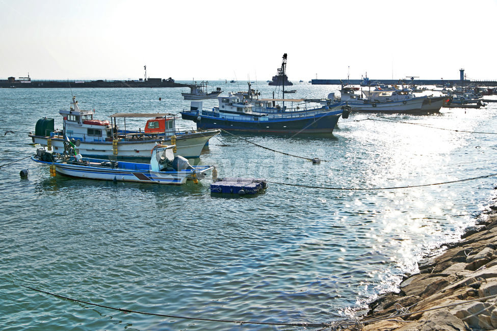 궁평항,화성,방파제,어선,고깃배,정박,바다,산업,industry,industrial,어업,fishery,fishing industry