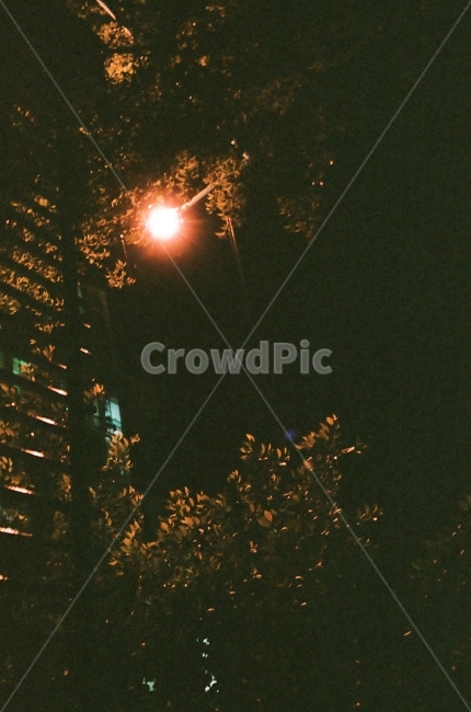 필름,필름사진,밤,가로등,빛,감성,film,analog,naturaclassica,야경,밤,풍경,nightscape,night,landscape,감성,sensible,feeling,light,flare,플레어