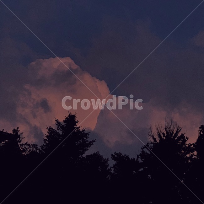 nature,cloud,sky,pink,구름,하늘,핑크,황혼,twilight,나무,옥외,야경,감성사진,감성,mood,자연,풍경,nature,landscape