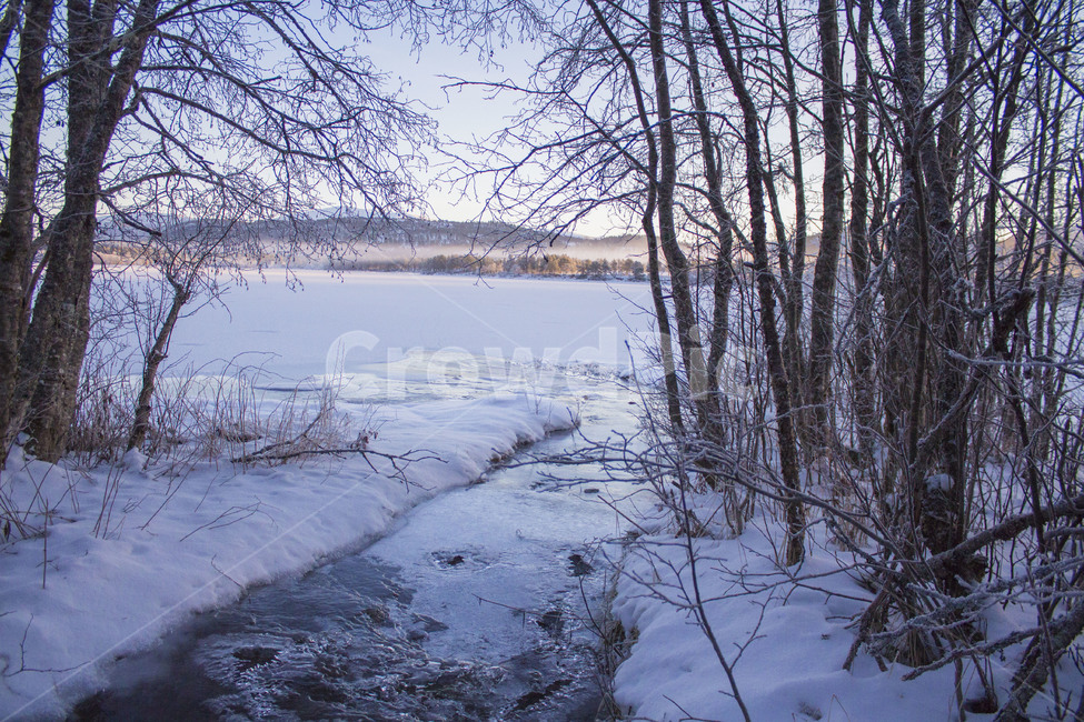 겨울,나무,호수,winter,lake,겨울,계절,winter,season,자연,풍경,nature,landscape,outdoors,옥외,snow,눈,frost,서리