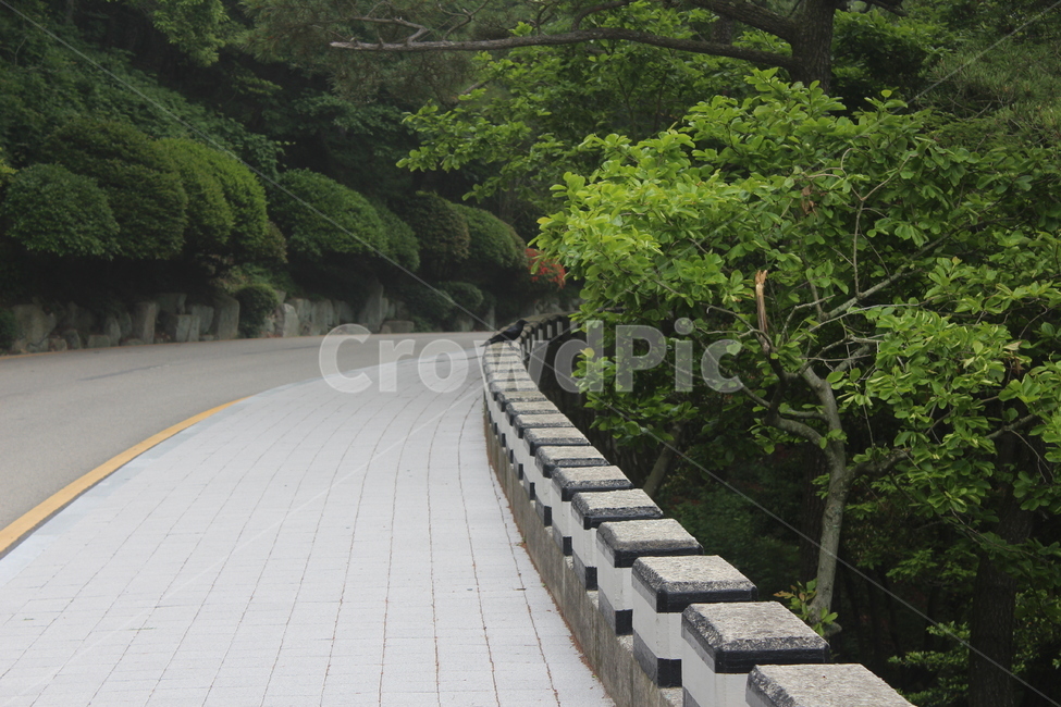 커브길,산책로,태종대,수목로,밝은산책로,자연,풍경,nature,landscape,slate,슬레이트,flagstone,판석