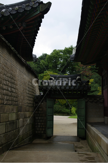 창덕궁,고궁,전각,한옥,전통가옥,기와지붕,건축,traditional,문,한국전통,한국문화,korean traditional,korean culture,랜드마크,landmark,tourist attraction,한국랜드마크,한국관광지,한국명소,korea landmark,korea tourist attraction,건축물,건물외관,exterior,building,structure,architecture,construction