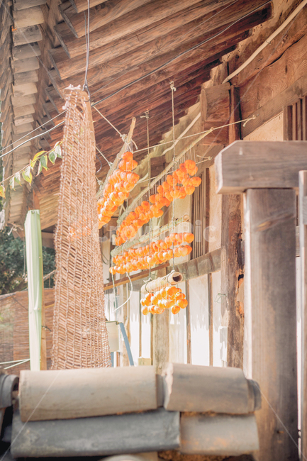 가을,감,계절,persimmon,과일,fruit,fall,autumn,seasons,자연,풍경,nature,landscape,건물,건축물,building,structure,한국전통,한국문화,korean traditional,korean culture,과일,열매,fruit,건축물,건물외관,exterior,building,structure,architecture,construction