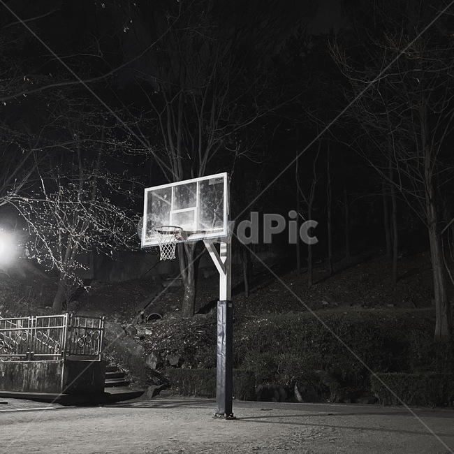 black,농구,basketball,흑백사진,공원