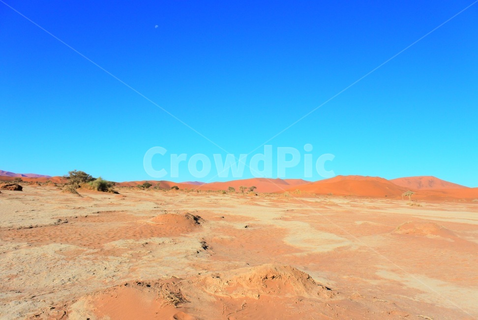 nature,자연,outdoors,옥외,desert,사막,soil,흙