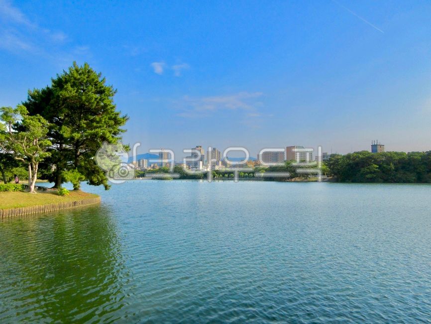outdoors,Tokyo,japan,nature,Ohori,Ohori Park,Fukuoka,water