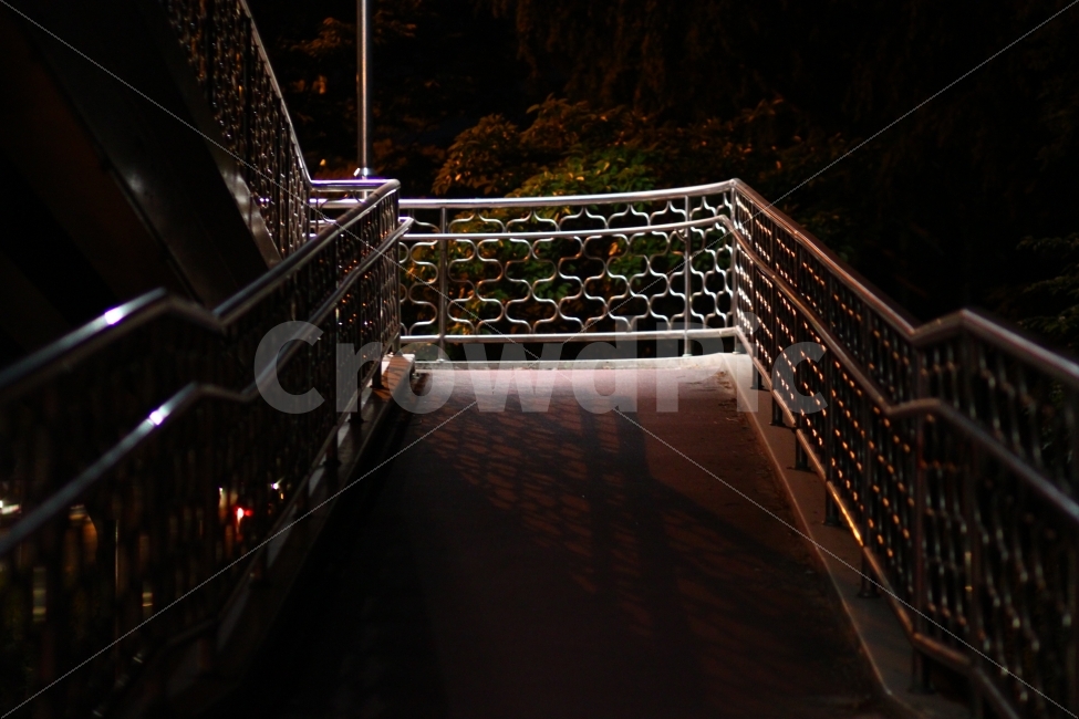 도시,육교,가로등,대전,밤,계단,스냅,야경,밤,풍경,nightscape,night,landscape,handrail,난간,banister,railing