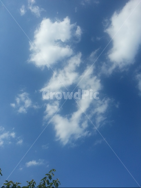 구름,파란하늘,하얀구름,뭉게구름,특이한구름,파란,하얀,special,cloud,sky,bluesky