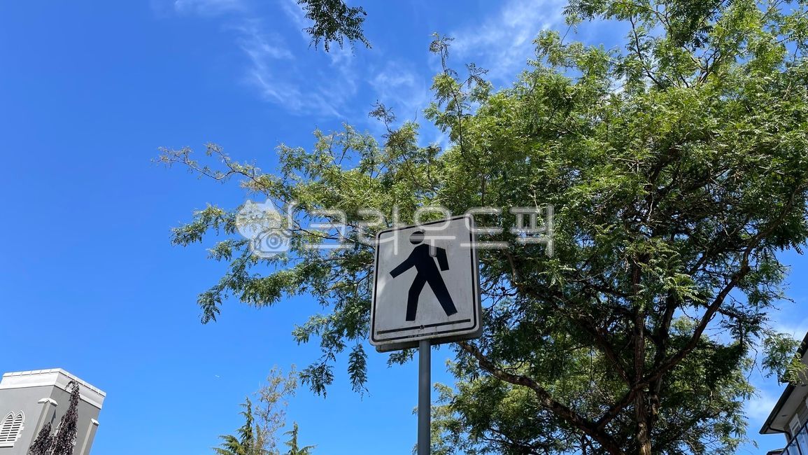 symbol,nature,traffic signal,sign,tree,pedestrian,pedestrian signal,traffic sign,park