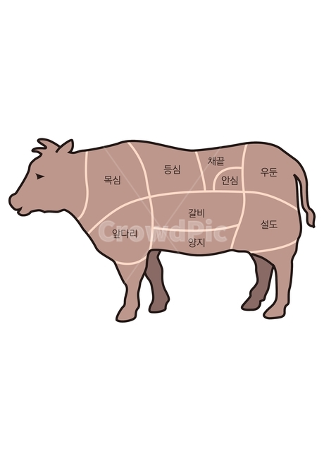 소,소고기,소고기부위,부위별명칭,고기,그래픽,일러스트레이션,graphic,illustration
