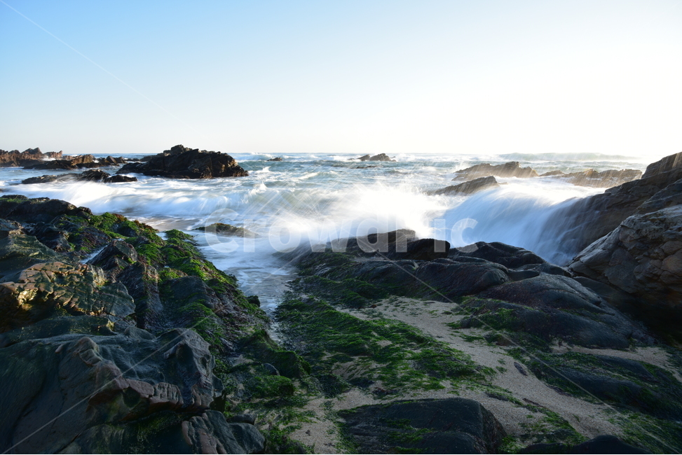 파도,물결,windwave,첨해파,해변,밀물,썰물,자연,풍경,nature,landscape,plant,식물
