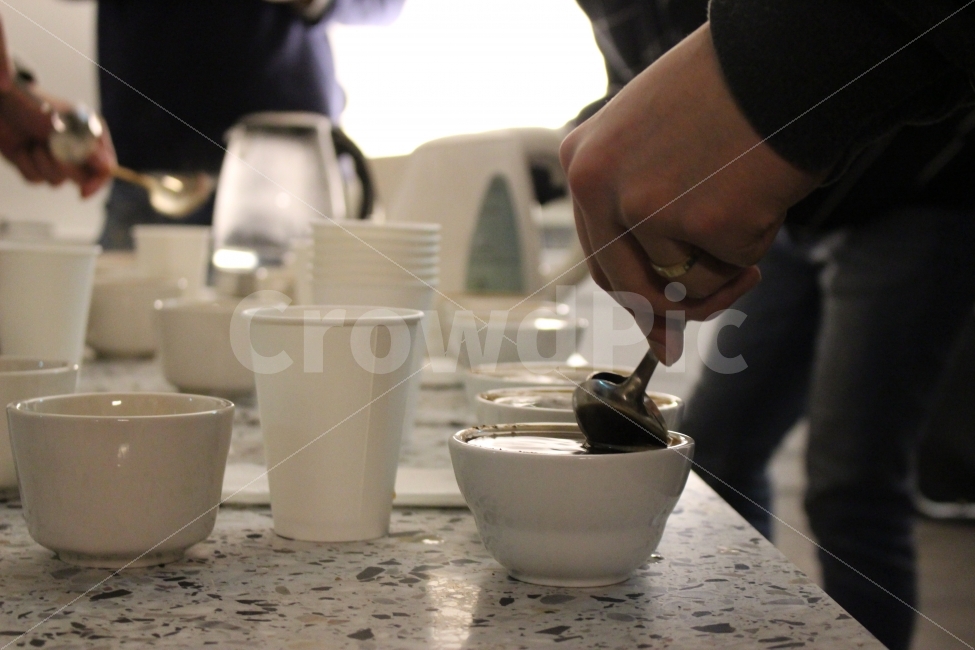 커핑,커피,cupping,coffee,스페셜티,specialty,큐그레이더,알그레이더,qgrader,rgrader,감별,평가,사람,사람,인물,인간,human,person,신체일부,몸,body,커피,카페,coffee,cafe