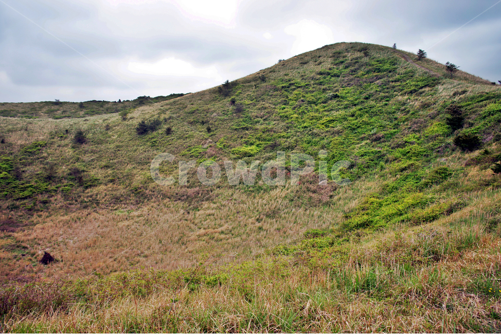 갑마장길,제주도,표선면,가시리,트레일,오름,따라비오름,기생화산,자연,풍경,nature,landscape,제주도,jeju,jeju island
