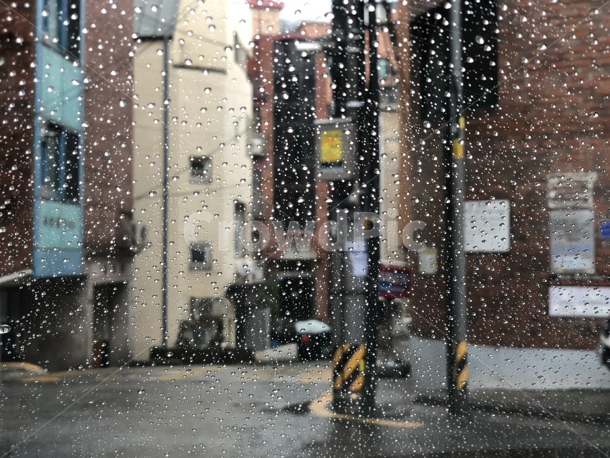전봇대,골목길,비오는날,창문,비,rain,window,road,비,비오는날,rain,rainy