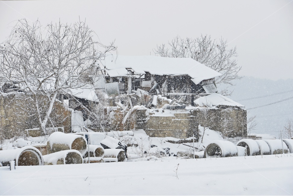 nature,자연,blizzard,눈보라,outdoors,옥외,winter,겨울,snow,눈,storm,폭풍,설경,폐가,농촌,겨울,계절,winter,season