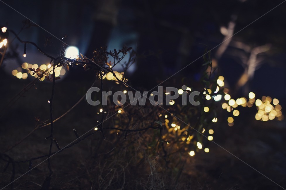 야경,보케,겨웅,밤,불빛,야경,밤,풍경,nightscape,night,landscape