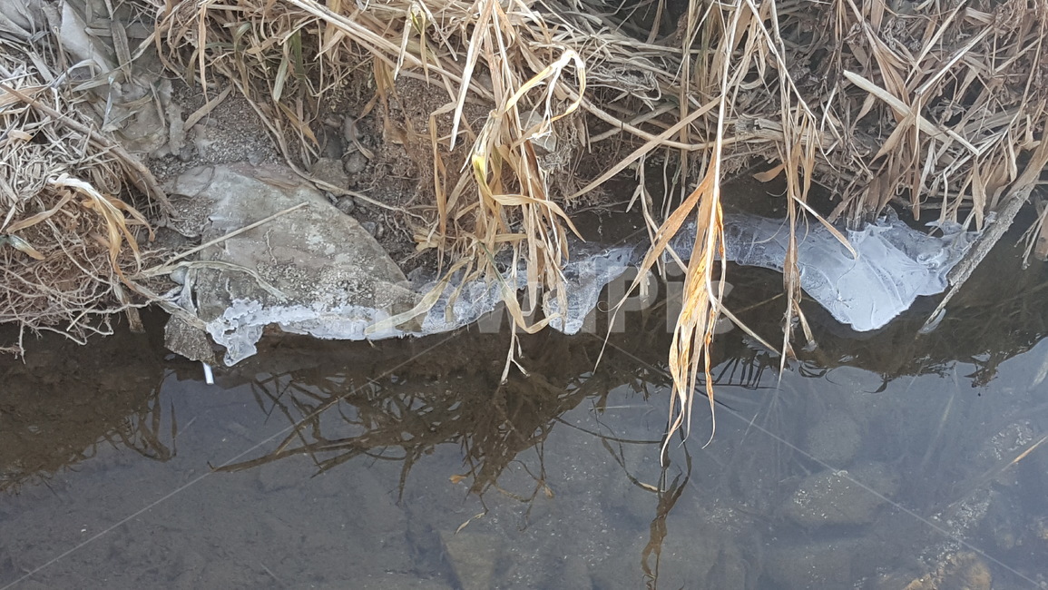 겨울,산책로,겨울풍경,야외,겨울산책로,공원,풍경,겨울,계절,winter,season,자연,풍경,nature,landscape,root,뿌리,plant,식물
