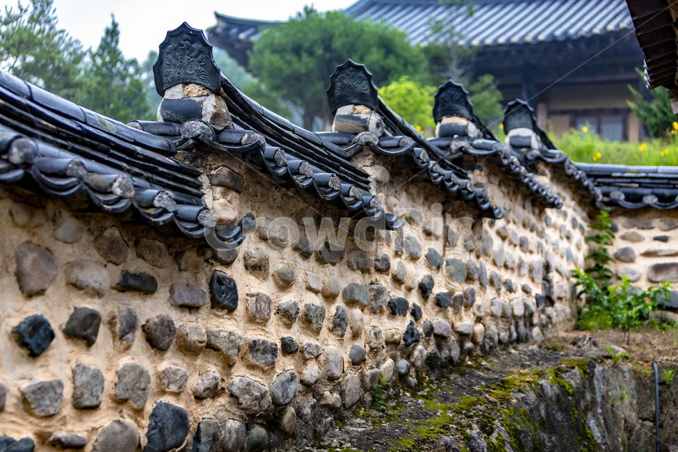군자마을,기와담장,전통담장,기와,한옥,고택,문화유산,전통건축,관광명소,한옥마을,돌담