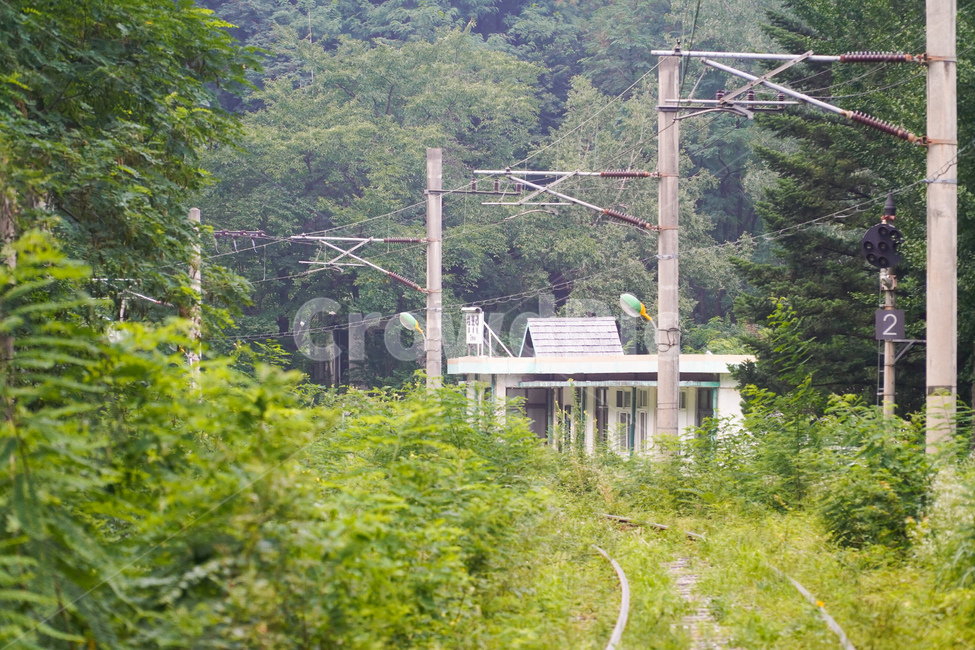 기차역,기찻길,전철,나무,숲,신호등,자연,풍경,nature,landscape
