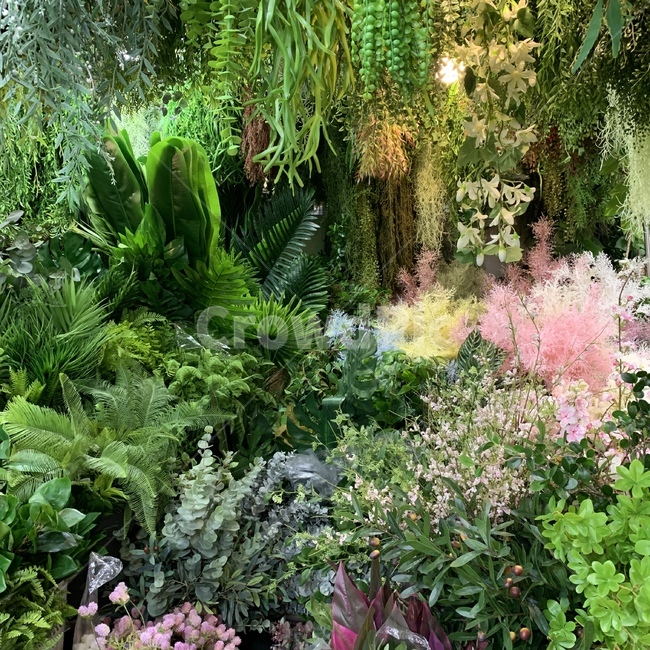 초록색,폴,꽃시장,잎,이파리,꽃,식물,자연,plants,nature