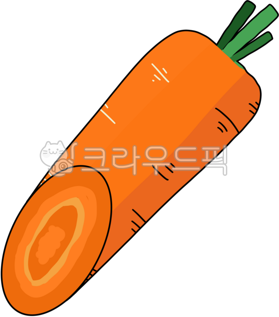 Carrots,carrot,red beet,carrot cross-section,orange vegetable,agricultural product,organic,cooking,ingredient,business,vegetable,greens