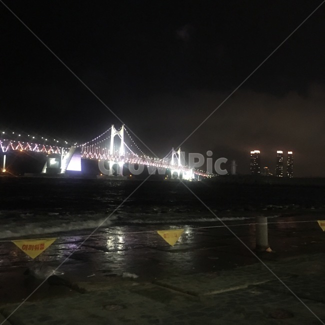 바다,대교,다리,바닷가,야경,야경,밤,풍경,nightscape,night,landscape,building,건물