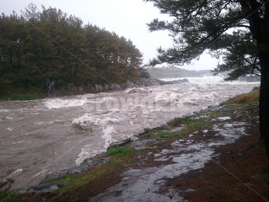 제주도,강정마을,폭우,강물,비,자연,풍경,nature,landscape,flood,홍수