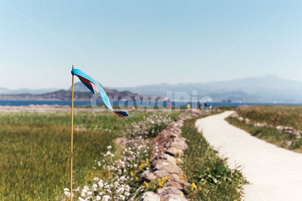 필름사진,filmphotography,제주도,제주,가파도,청보리밭,풍경,올레길,자연,jejuisland,scenery,nature,jeju,ollegil,필름