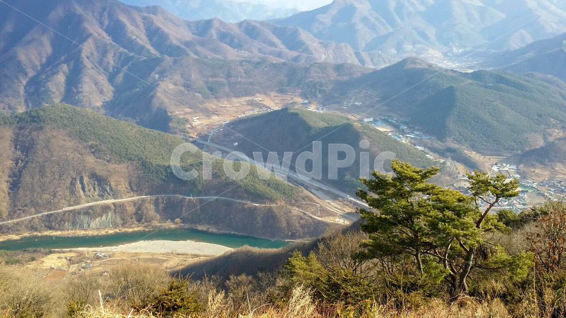 산,풍경,나무,가을,갈대,강,영월,별마로,자연,풍경,nature,landscape,outdoors,옥외,mountain,slope,경사,scenery,mountain range,산맥