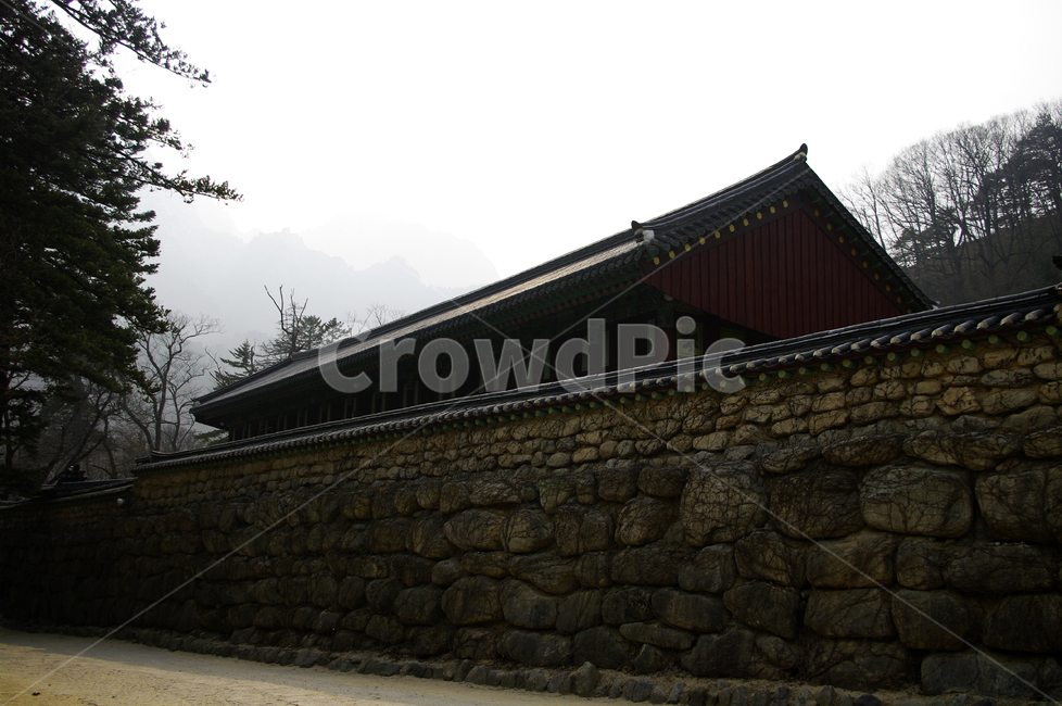 wall,담,전통,기와,지붕,나무,돌담