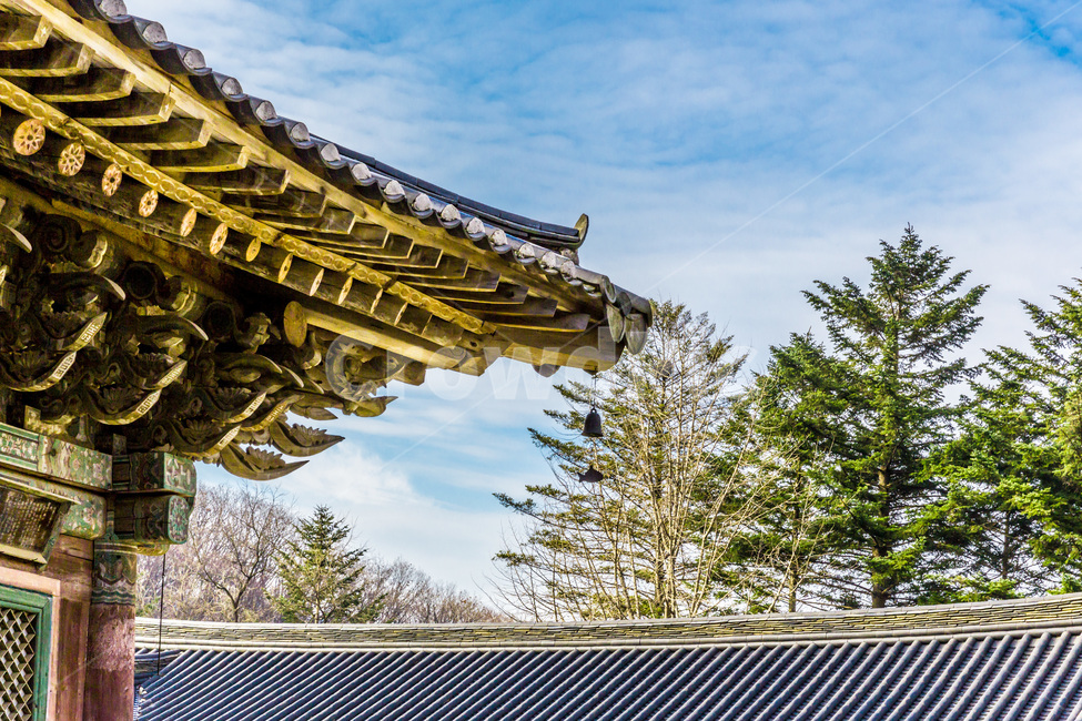 단청,문화유산,선,기와,사찰,전통유산,한국전통,한국문화,korean traditional,korean culture,건축물,건물외관,exterior,building,structure,architecture,construction