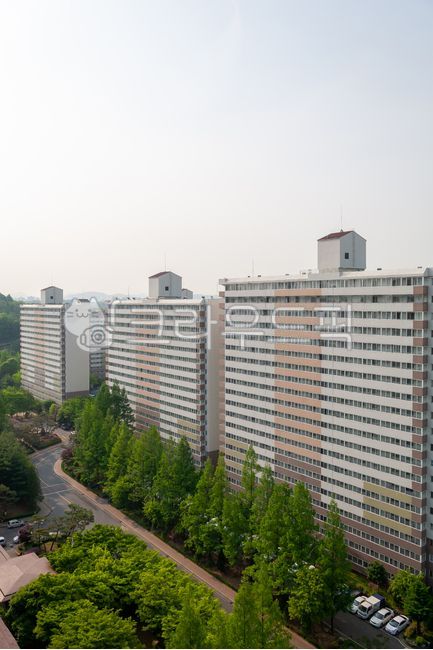 background,plant,tree,construct,house,apartment,landscape,building,metasequoia