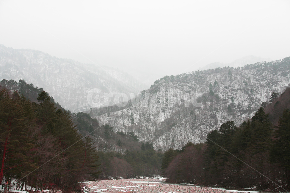 nature,풍경,산,겨울,나무,자연,식물,winter,겨울,계절,winter,season,자연,풍경,nature,landscape