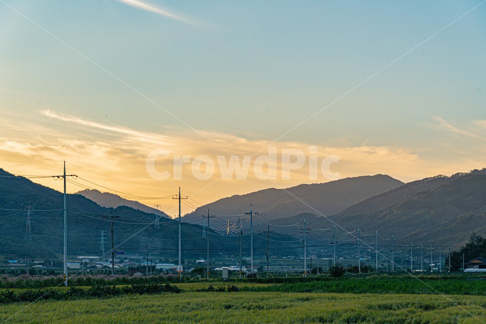 시골,풍경사진,가을,길,도로,논,하늘,시골,마을,풍경,landscape,country,rural,town,농업,농사,agriculture,farming,farming industry