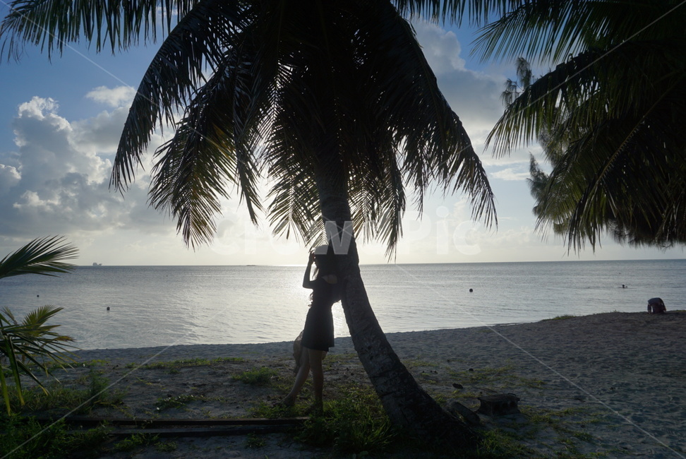 바다,여행,노을,해변,역광,여자,beach,saipan,vacation,여성,사람,lady,trip,사이판,sunset,옆모습,마이크로비치,microbeach,휴가,야자수,해외여행,원피스,휴양지,바닷가,실루엣,저녁,석양,하늘,구름,lonely,여름,summer,고독,고독함,외로움,쓸쓸함