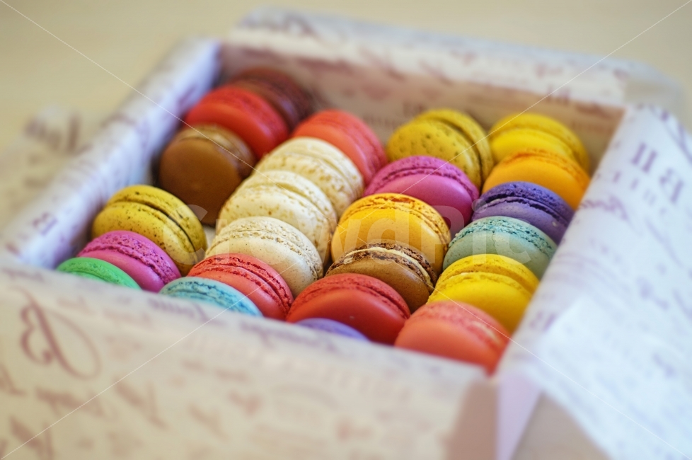 선물,새콤달콤,마카롱,과자,프랑스,제과,사물,카페,색감,알록달록,오픈,Macaroon,France,Gift,Box,Color,Cookies,Nobody,음식,식재료,요리,food,cook,meal,dishes,food reserves,디저트,간식,후식,dessert,snack,연출,컨셉,콘셉,direction,concept
