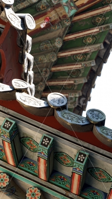 창경궁,한옥,지붕,기와,나무,미술,전통,처마,하늘,용,dragon,봉황,조선,역사,한국,문화,한국문화,한국전통,건물,건축,문화재,유적,유적지,왕궁,궁궐,korea,history,히스토리,조선시대,조선왕조,풍경,landscape,자연,드래곤,용마루,추녀마루,내림마루,전각,kingdom,한국자연,코리아,건축물,건물외관,exterior,building,structure,architecture,construction,한국전통,한국문화,korean traditional,korean culture