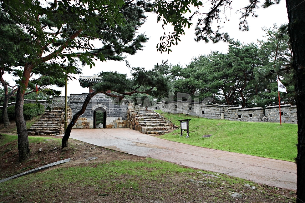 수원화성,서,성곽,길,둘레길,돌담,담,가을,자연,풍경,벽,방어벽,전통,흙담,식물,한국전통,한국문화,korean traditional,korean culture