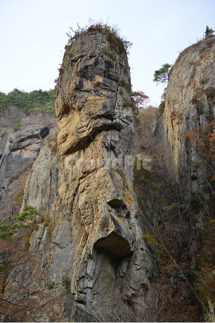 경북,청송,주왕산,주왕산가을,추색,가을,추경,단풍,단풍잎,cliff,낭떠러지,plant,식물,leaf,잎,tree,나무,treetrunk,나무줄기,nature,자연,outdoors,옥외,경치,경관,풍경,자연,풍경,nature,landscape